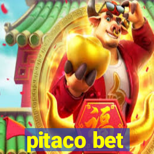 pitaco bet